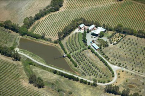 Patly Hill Farm - New Castle Holiday 1