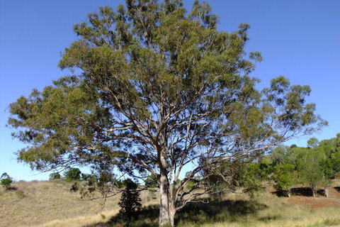 Deshons Retreat - New Castle Holiday 7