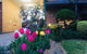 The Vines Motel And Cottages - thumb 0