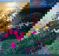 The Vines Motel and Cottages - New Castle Holiday