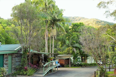 Mt Warning Rainforest Park - New Castle Holiday 2