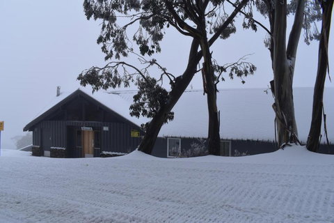 Cooroona Alpine Lodge - New Castle Holiday 5