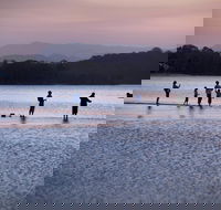 Tallebudgera Creek Tourist Park - New Castle Holiday