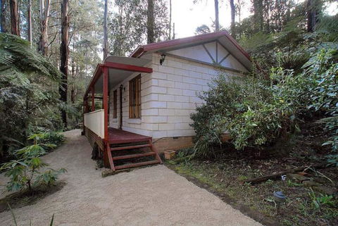 Fernglen Forest Retreat - New Castle Holiday 5