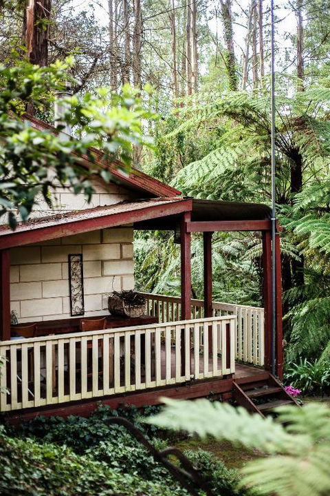 Fernglen Forest Retreat - New Castle Holiday 4