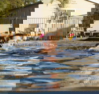 Riverside Cabin Park - New Castle Holiday