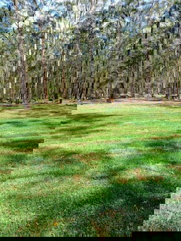 Chiltern Lodge - New Castle Holiday 4