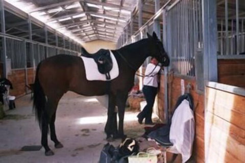 JE Resort - New Castle Holiday 1