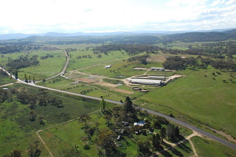 JE Resort - New Castle Holiday 2