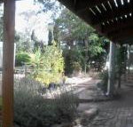 Friends in Harcourt North - New Castle Holiday