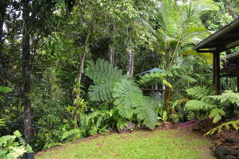 Tropical Bliss Bed & Breakfast - New Castle Holiday 6