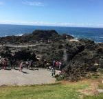 Sea Whispers - New Castle Holiday