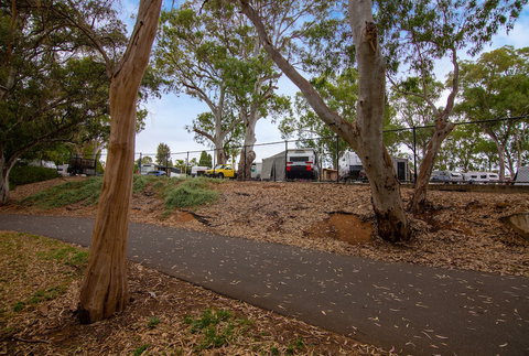 Windsor Gardens Caravan Park - New Castle Holiday 1