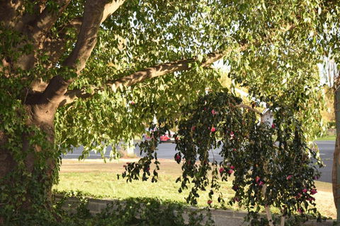 Alkira Motel - New Castle Holiday 4