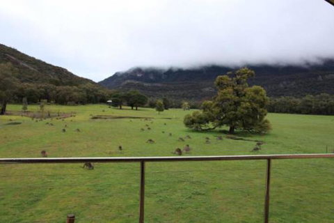 Five Clematis Views - New Castle Holiday 3