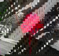 Latania Luxury Villas - New Castle Holiday