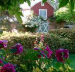 A Country Barn Retreat - New Castle Holiday