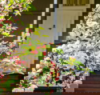 Apple Blossom Cottage - New Castle Holiday