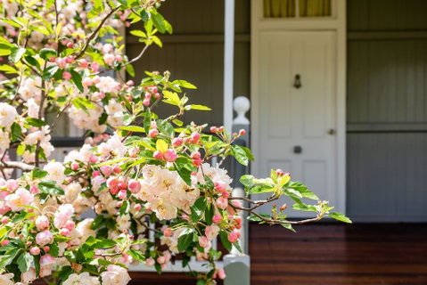 Apple Blossom Cottage - New Castle Holiday 0