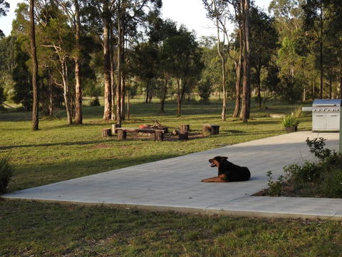 Wallaby Cottage Cute Accom In Bushland Setting - New Castle Holiday 3