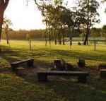 Wallaby Cottage cute Accom in bushland setting - New Castle Holiday