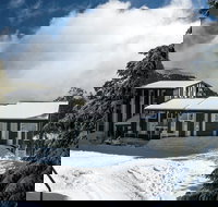 Elk at Falls - New Castle Holiday