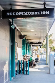 Darlo Bar Darlinghurst - New Castle Holiday 3