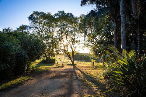 Hillview Cottages - New Castle Holiday 0