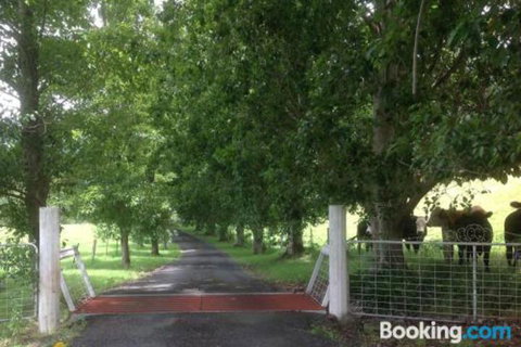 Whispers At Cedar Grove - New Castle Holiday 7