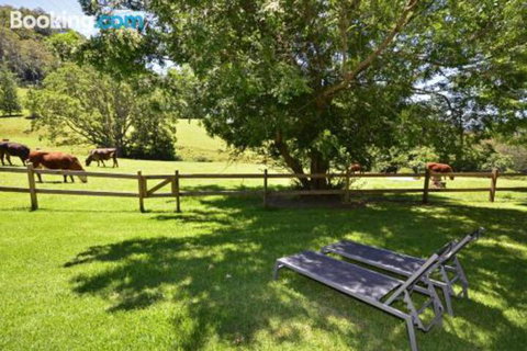 Whispers At Cedar Grove - New Castle Holiday 5