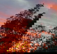 The York Heritage Hotel  Terraces - New Castle Holiday