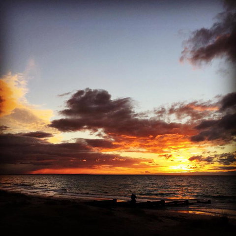 Bayview Gardens Apartments - New Castle Holiday 4