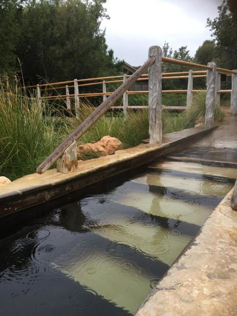 Bayview Gardens Apartments - New Castle Holiday 1