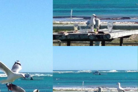 Lous Place - New Castle Holiday 6