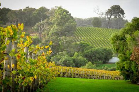 41 Grunters Accommodation - New Castle Holiday 3