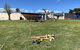 Lakeside Motel Waterfront - thumb 0