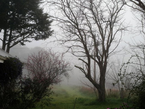 Brookvale House Balingup - New Castle Holiday 3