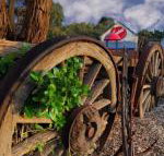 Bellum Hotel - New Castle Holiday