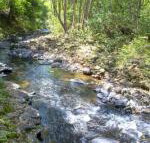 Tallaringa Views - New Castle Holiday