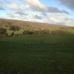 Pickanjinnie ACT New Castle Holiday