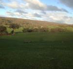 Mancuso Country Cottage Retreat - New Castle Holiday