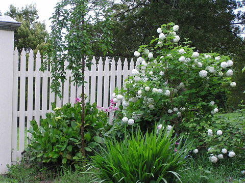 Lemonade Creek Cottages - New Castle Holiday 2