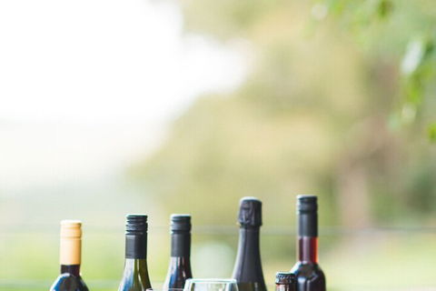Borrodell Vineyard - New Castle Holiday 4