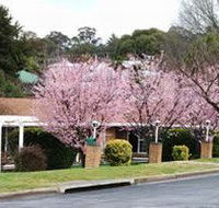 White Lanterns Motel - New Castle Holiday