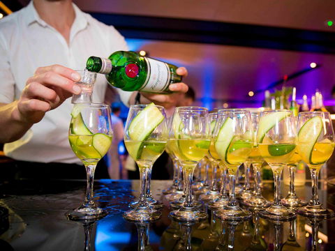 Pullman Sydney Airport Hotel - New Castle Holiday 14