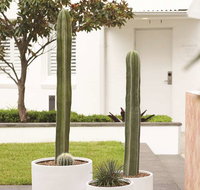 Adina Apartment Hotel Chippendale - New Castle Holiday