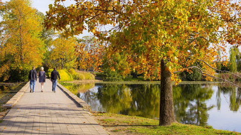 Crowne Plaza Canberra - New Castle Holiday 17