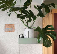 ACE Hotel Sydney - New Castle Holiday