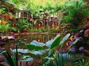 Daintree Eco Lodge & Spa - New Castle Holiday 0