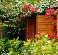 Pink Flamingo - New Castle Holiday